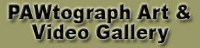PAWtographed Art & Video Gallery